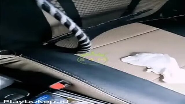 Schoolgirl picked up by her cheating boyfriend for a wild ride in the car